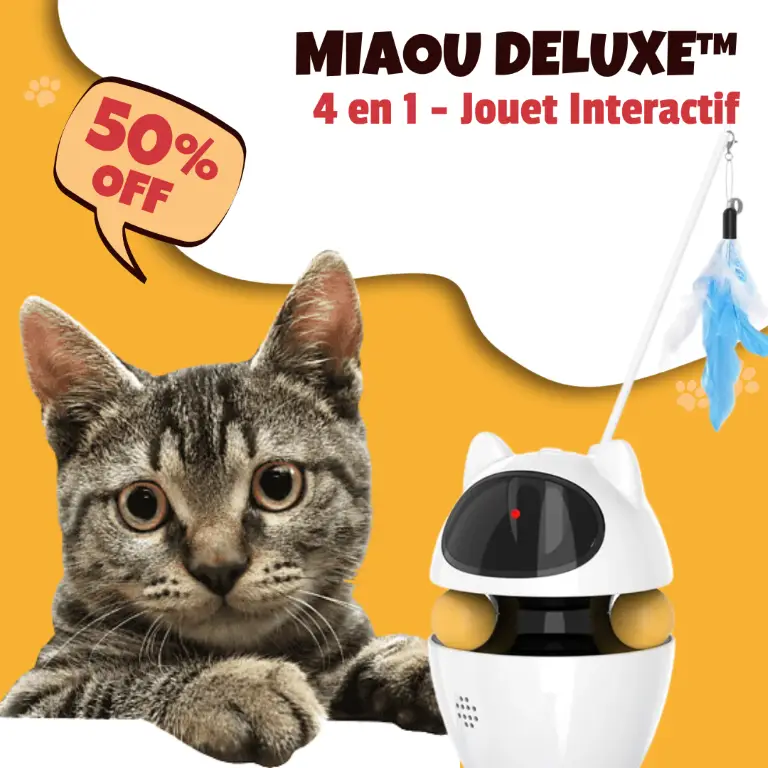 CAT INTERACTIVE LASER TOY (4-IN-1) (MIAOU FRANCE) B - THUMBNAIL